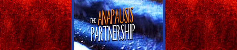 Anapausis Partnership